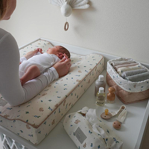 Контейнер для влажных салфеток Cam Cam Copenhagen "Blueberries", молочный